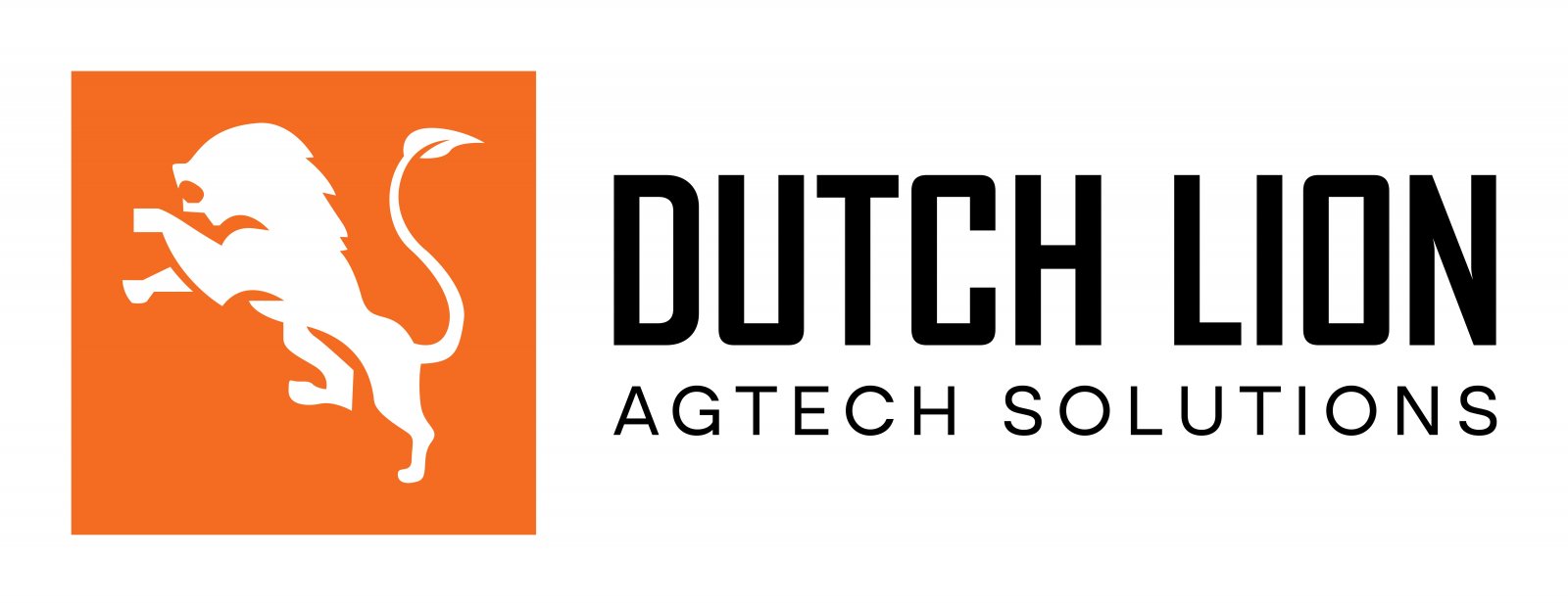 Dutch Lion